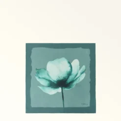 Furla Nuvola Foulard